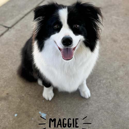 Maggie