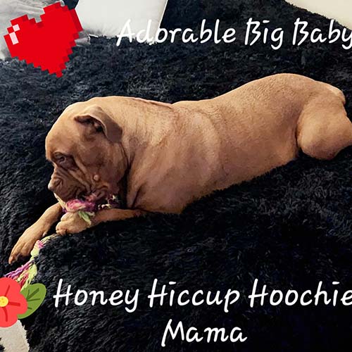 Honey Hiccup Hoochie Mama