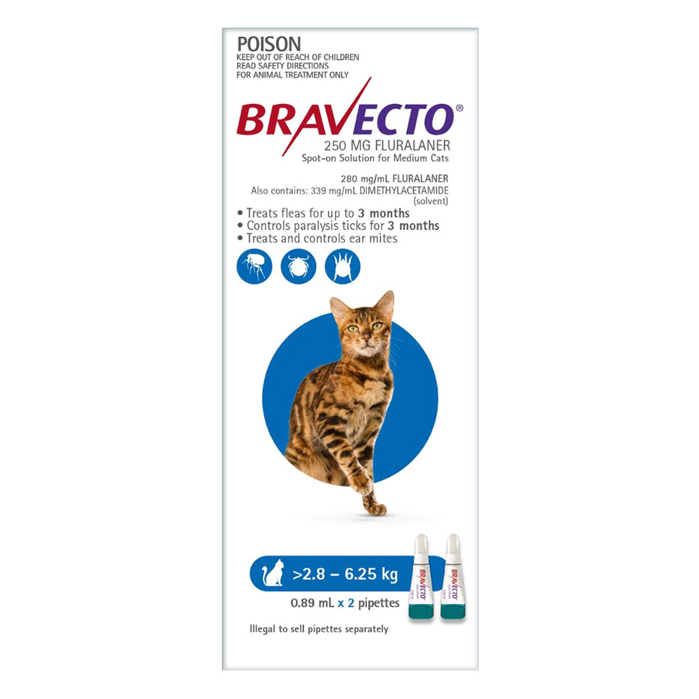 Bravecto spot hotsell on 6 months