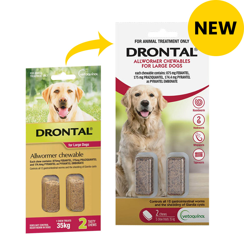 Drontal large dog wormer best sale