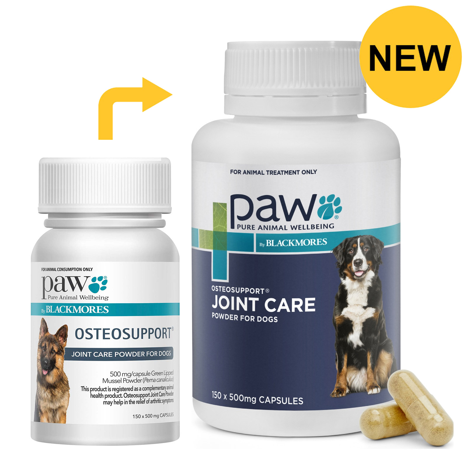 Joint powder for dogs best sale