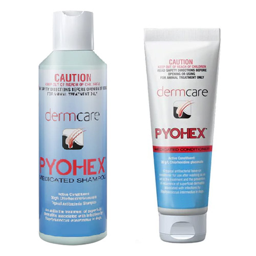 Dermcare pyohex medicated shampoo hotsell