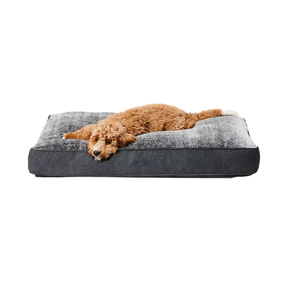 Snooza hot sale dog bed