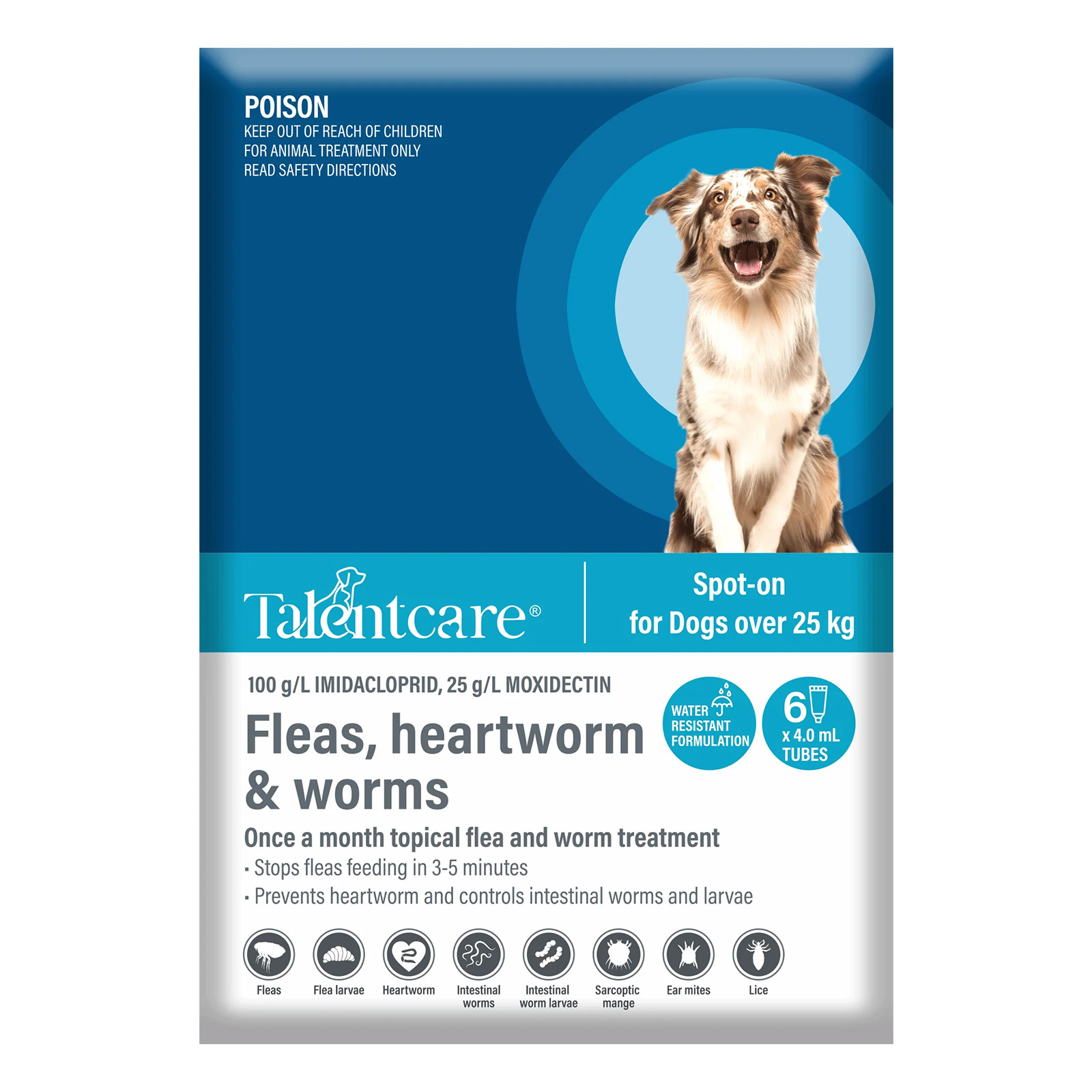 Spot on flea and shop worm treatment for dogs