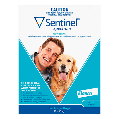 Heartworm sentinel spectrum store dogs