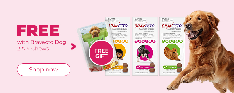 Bravecto Vitapet