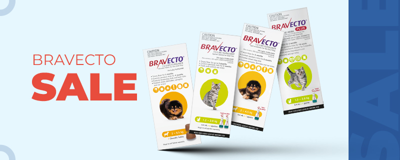 Bravecto Sale