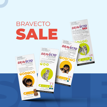 Bravecto Sale