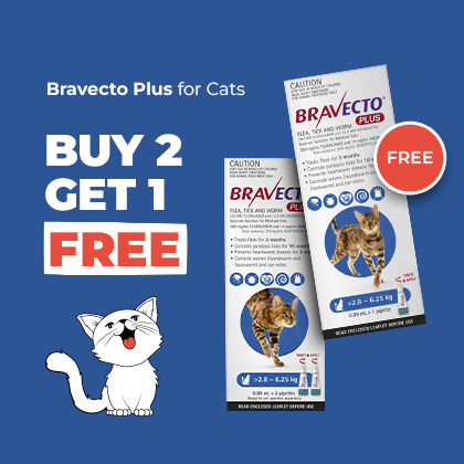Bravecto Sale