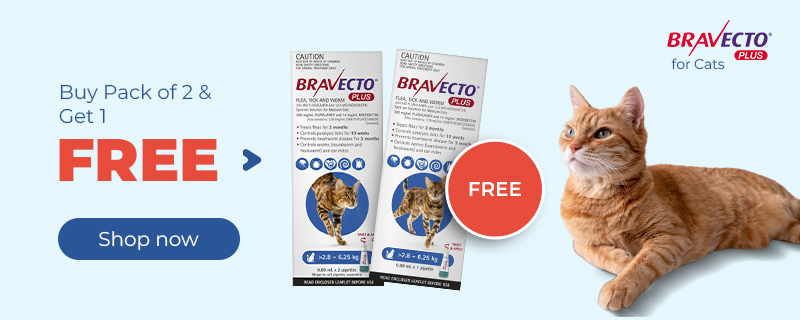 Bravecto Sale