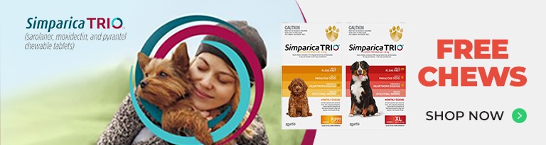Simparica Trio
