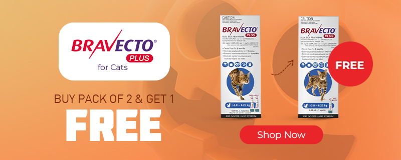 Bravecto Plus
