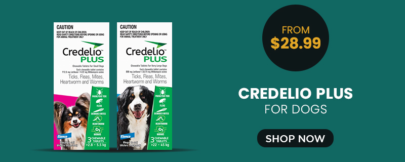 Credelio Plus