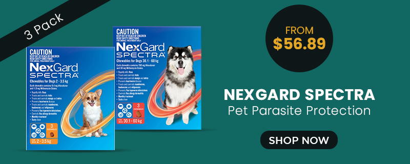 nexgard Spectra