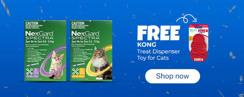 Nexgard Cat