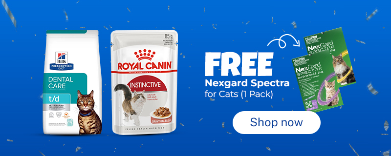 Nexgard Cat