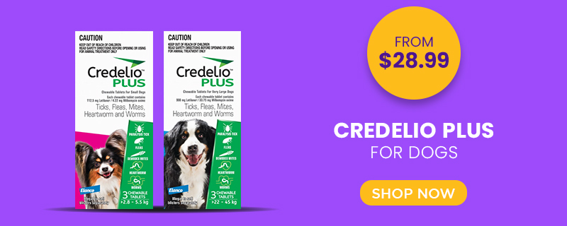 Credelio Plus