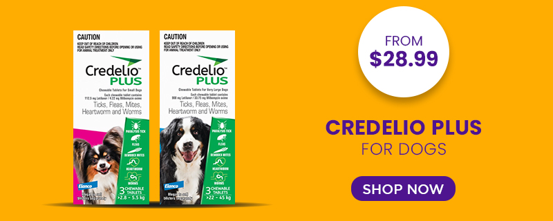 Credelio Plus