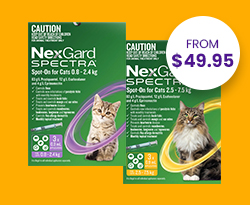 Nexgard Spectra Cat