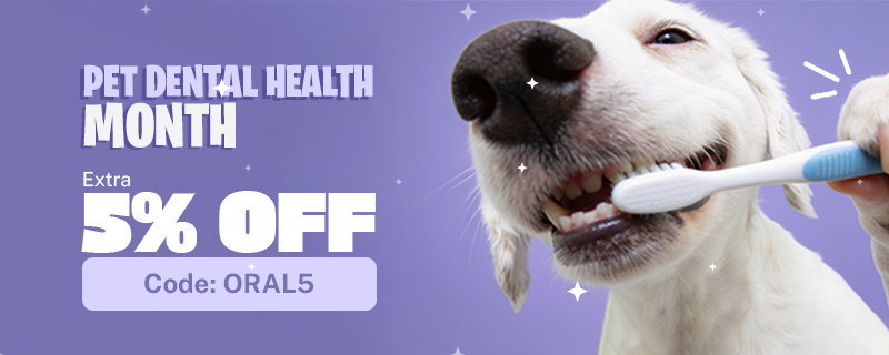 Dental Month Sale