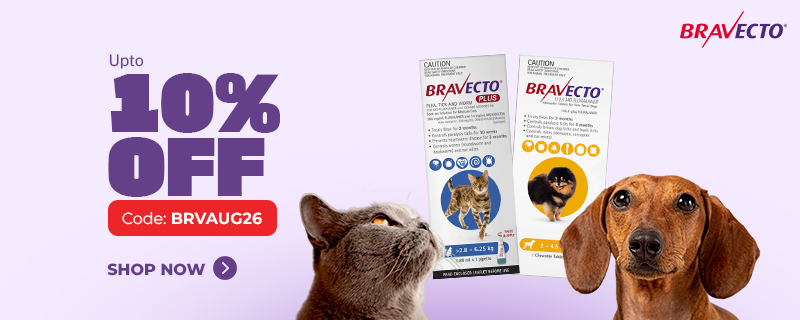Bravecto Sale