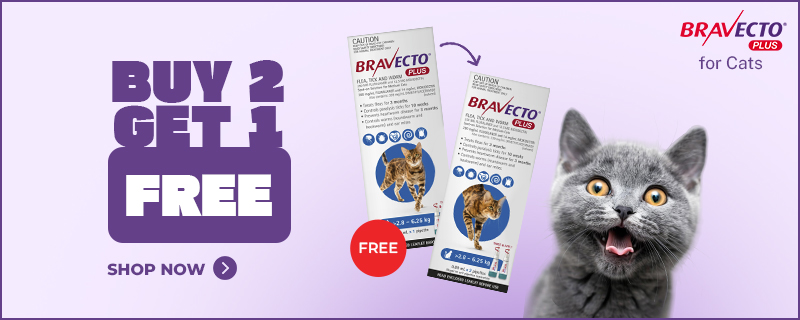 Bravecto Sale