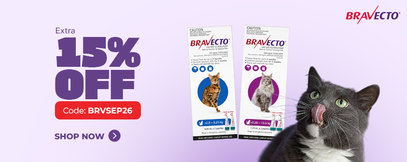 Bravecto Sale