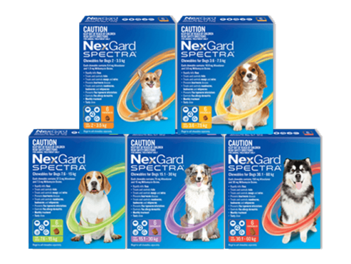 Nexgard Spectra Dogs Flea, Tick, Worm Control