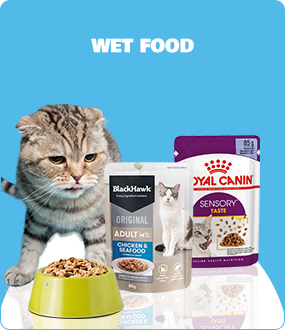 Wet Food