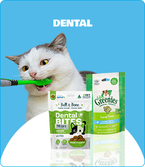 Dental