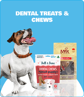 Dental Treats and Chews