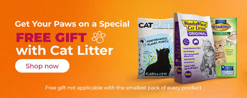 Cat Litter