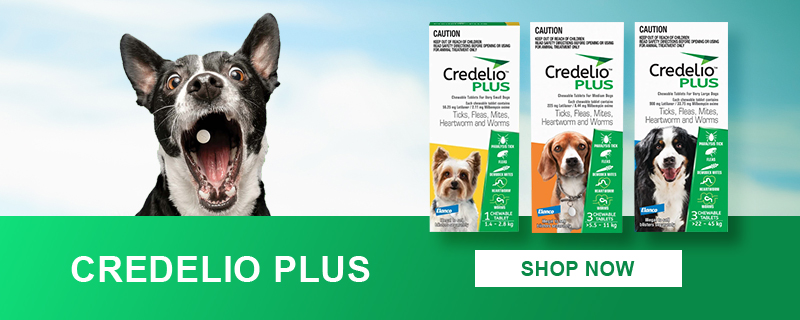 Credelio Plus