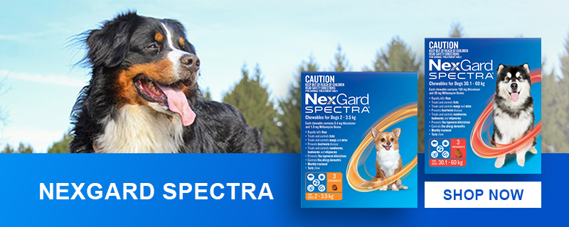 Nexgard Spectra