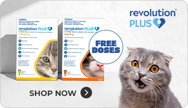 Revolution Plus