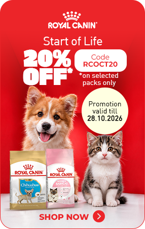 Royal Canin