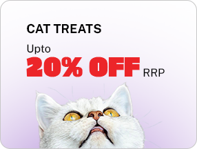 Cat Treat