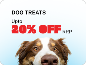 Dog Treat
