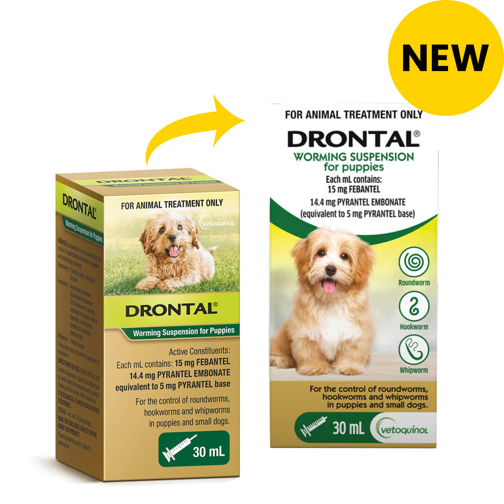 Buy Drontal Wormers Puppy Worming Suspension Online