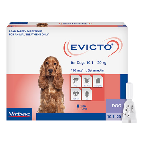 Evicto Spot-on (Selamectin) for Medium Dogs 10-20KG Blue 4 Pack