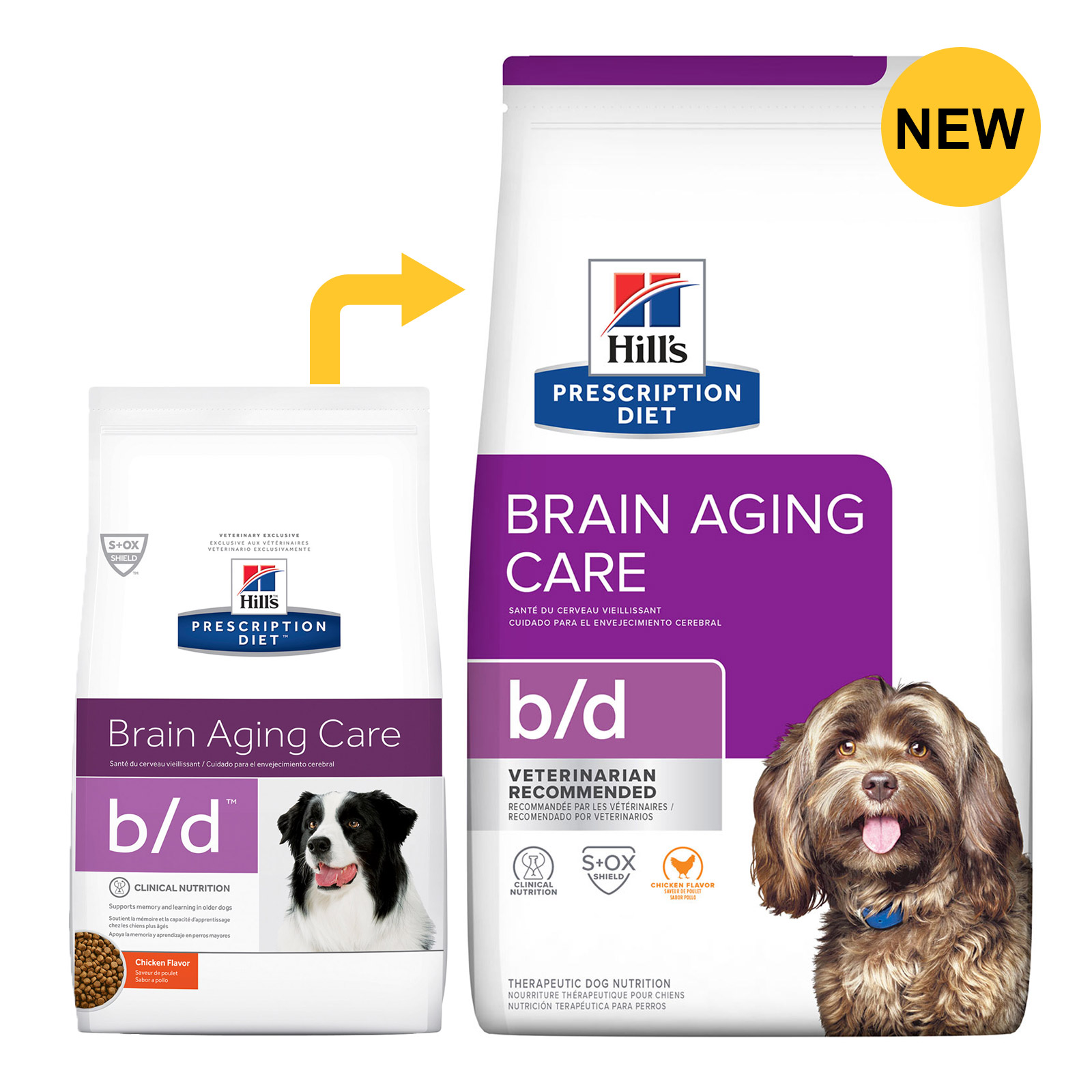 brain aging care dog food