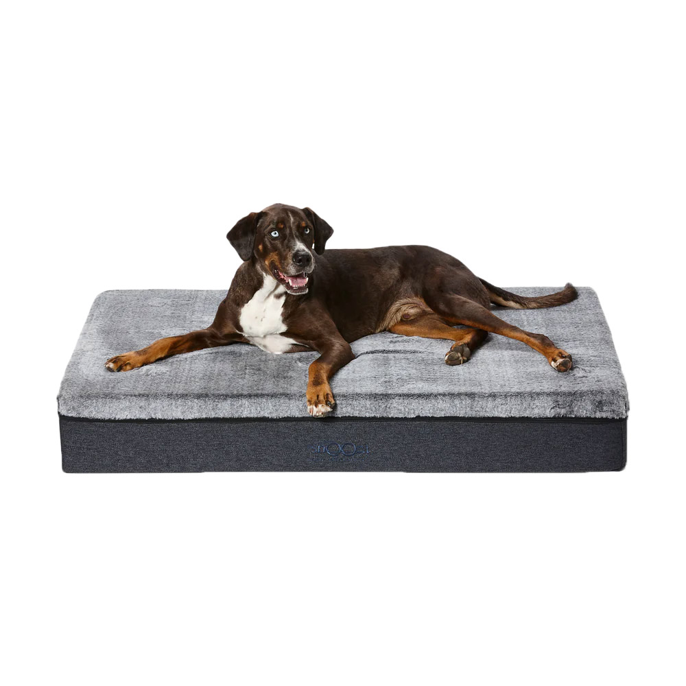 Buy Snooza Big Dog Bed Online