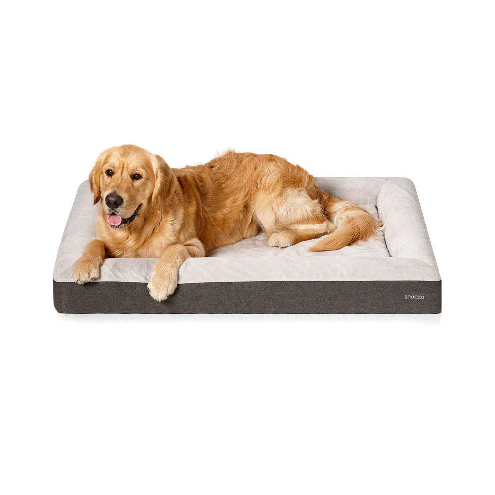 Buy Snooza Odour Control Memory Support Bed for Dogs Online