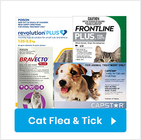 Cat Flea and Tick